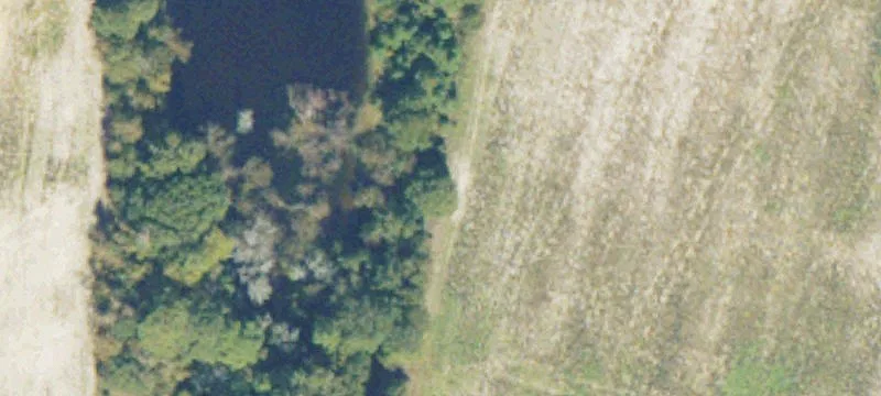 Prime Timber Investment Tract