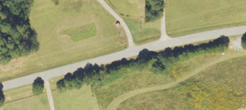 Large Timbered Land Parcel