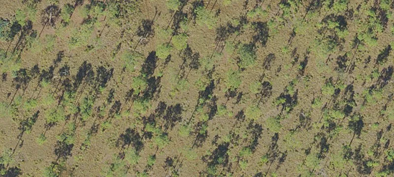 Residential Land Near Conservation Area