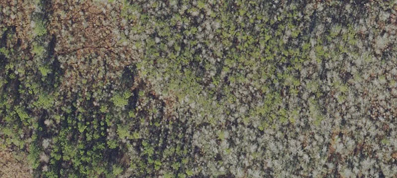 Prime Land Available For Sale