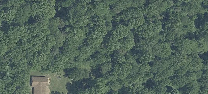 Residential Land Near Intel Project
