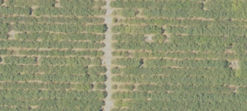 Prime Freeway Frontage Land