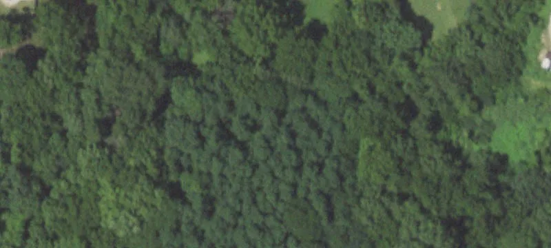 Residential Lot in Parkville