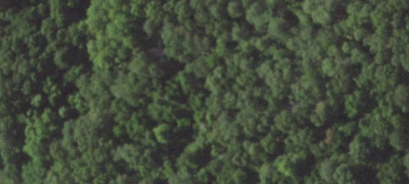 25 Acres in Huckleberry Ridge