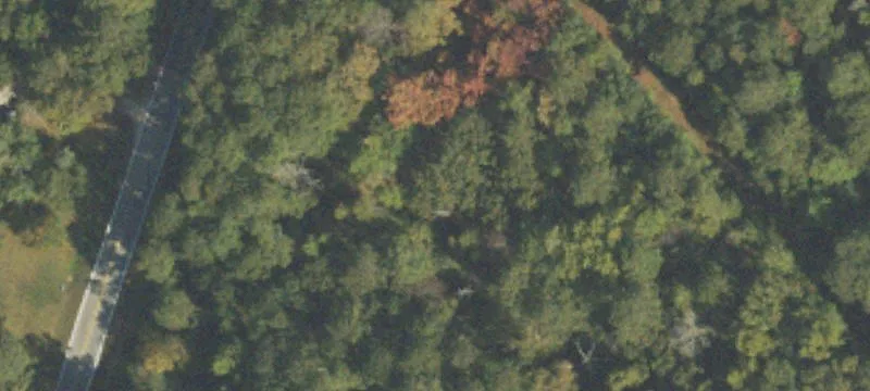 Wooded Acreage Near Highway 16