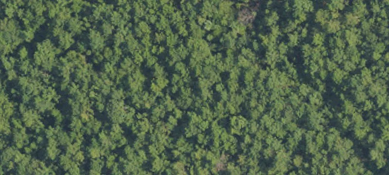 5 Acres on Highway 43