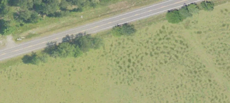 Hunting Land with Timber