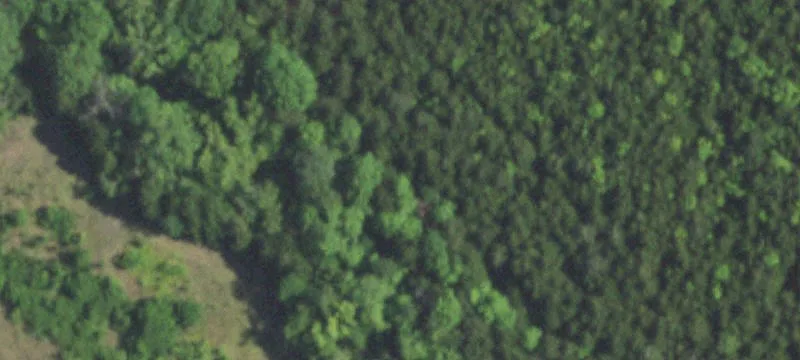 Development Acreage in Midlothian, TX