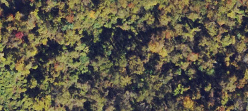 Land Available in Triadelphia