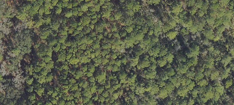 Putnam County Agricultural Land Opportunity
