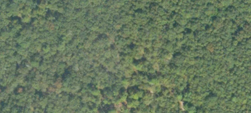Commercial Land Near Fort Gordon