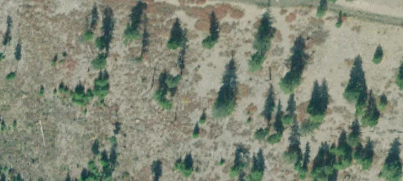 8.51 Acres in Ponderosa Heights
