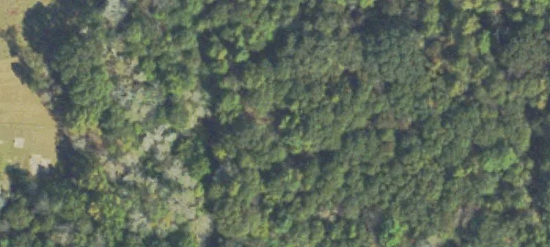 31 Acres Commercial Land on Hwy
