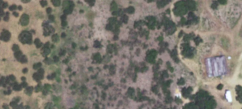San Patricio County Land Available