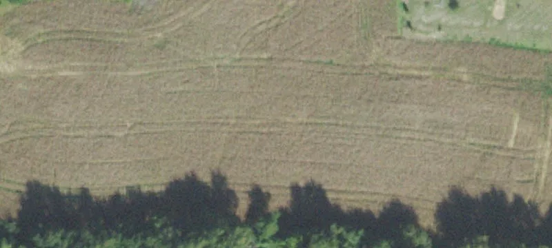 42 Acres of Land
