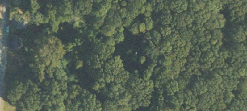 Residential Land in Newnan, Georgia