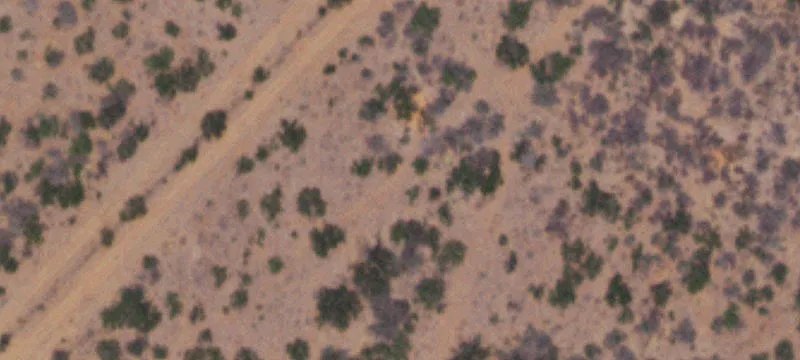 100-Acre Tract on Highway 359