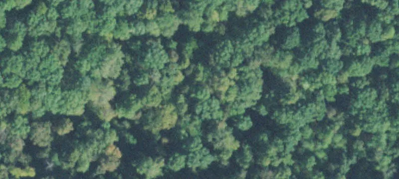 Residential Lot at Golf Club