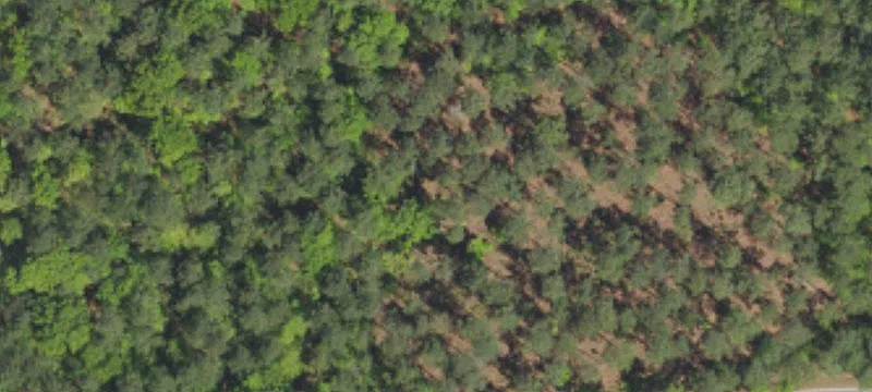 Unrestricted Wooded Lots For Sale