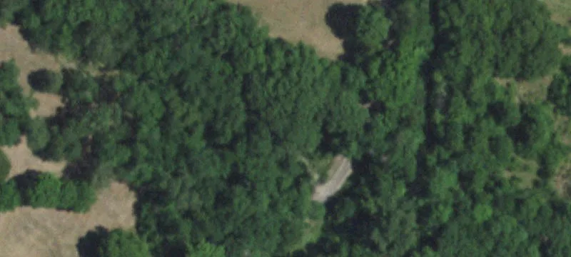 74.4 Acres with Spring-Fed Lake
