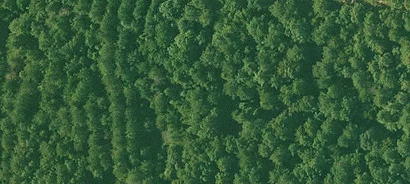 Little Missouri Riverfront Lots Available