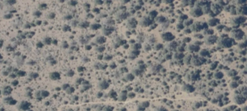 Carson City Land For Sale