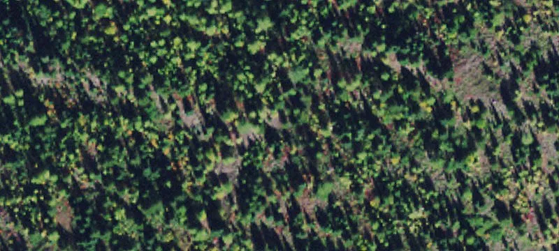 Seeley Lake Investment Land