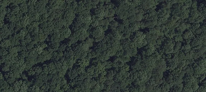 Land in Rural Community