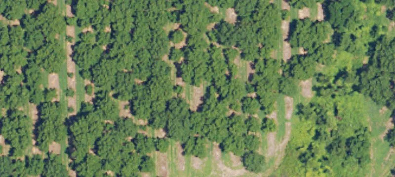 Alabama River Waterfront Lot