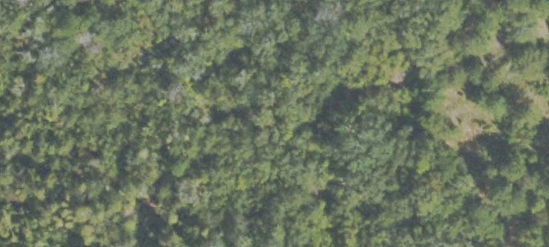 Prime Land Near Golden Isles