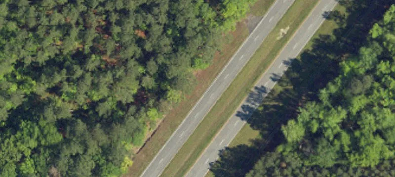 Allendale Commercial Land For Sale