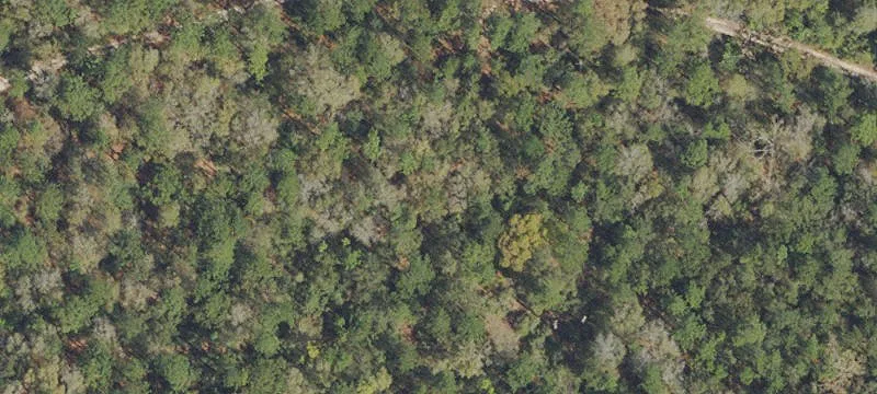 Crestview Commercial Land Opportunity
