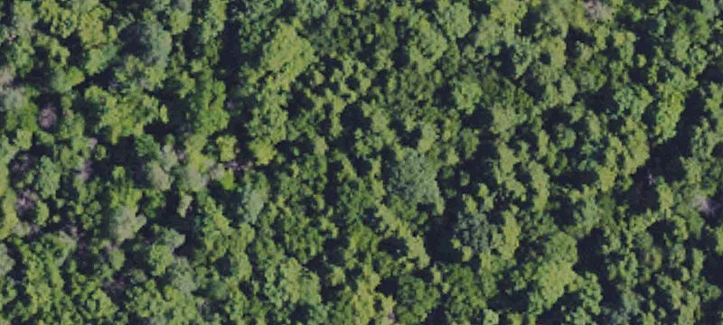 23.3 Acre Development Site I-79