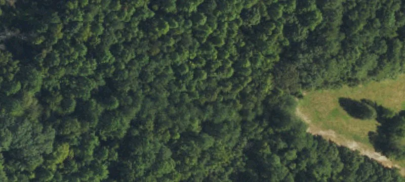 Raleigh Land Parcel For Sale