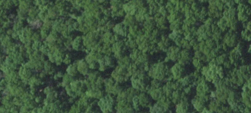 160 Acres Near Conservation Land