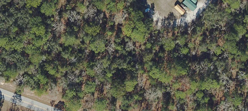 21.35 Acre Assemblage in Homosassa