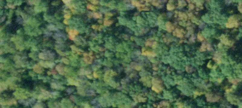 Commercial Corner Parcel in Pine Bush