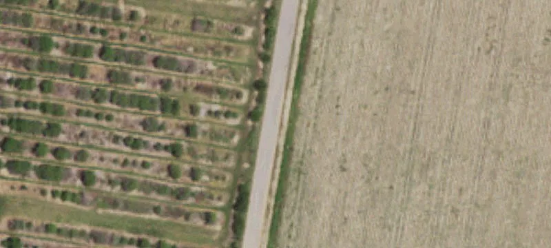 9.84 Acres Ready to Build