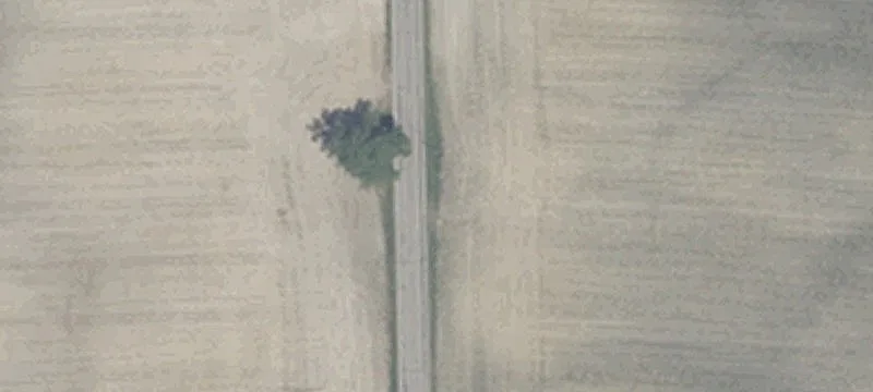 Auburn Commercial Land Opportunity