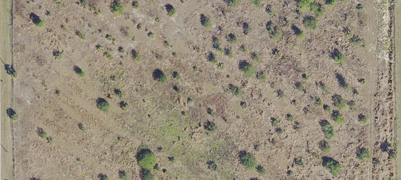 Land Ready for Rezoning