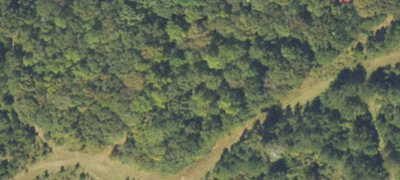 Pasture and Wooded Land Available