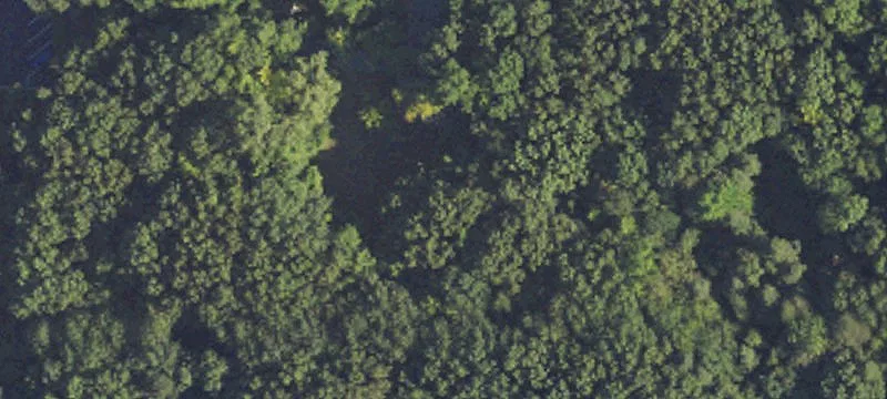 Brighton Residential Land Opportunity