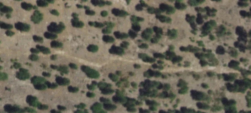 Forested Lot in Pendaries Subdivision