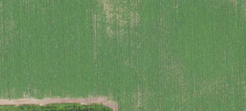 Land For Sale Newton Grove