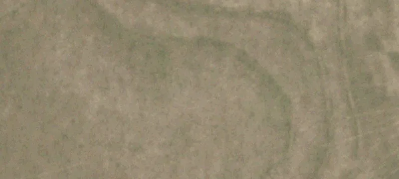 Productive Farmland with Equipment Included