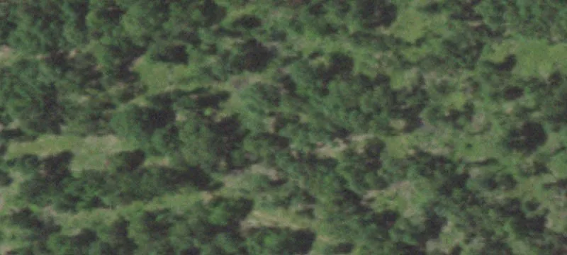 Remote Hunting Land with Creek