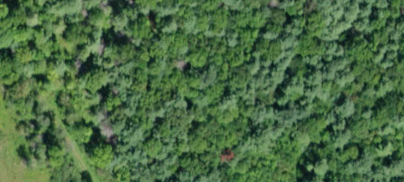 Restaurant Opportunity in Grand Gorge