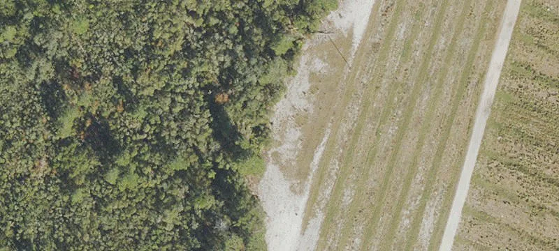 Diversified Farm Operation with Citrus