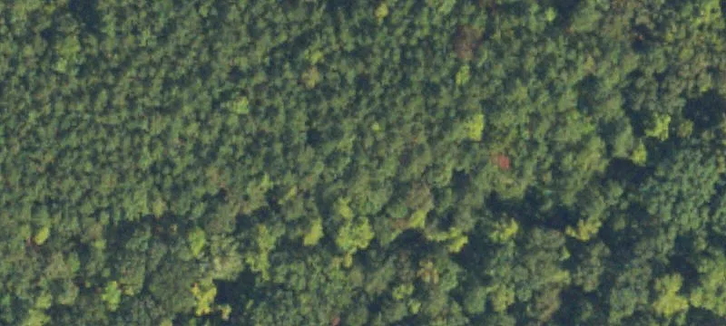 263 Acres in Chattahoochee Hills