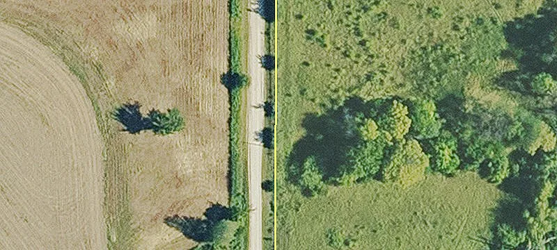 20 Acre Tract For Sale